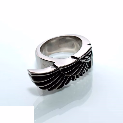 Ring aus Edelstahl